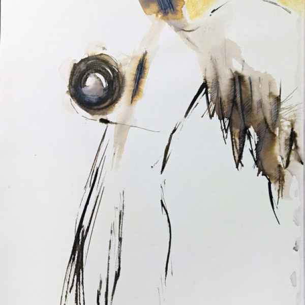 VI Angelo musicante - A Fra Angelico